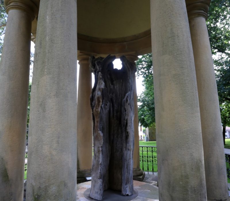 Image 8